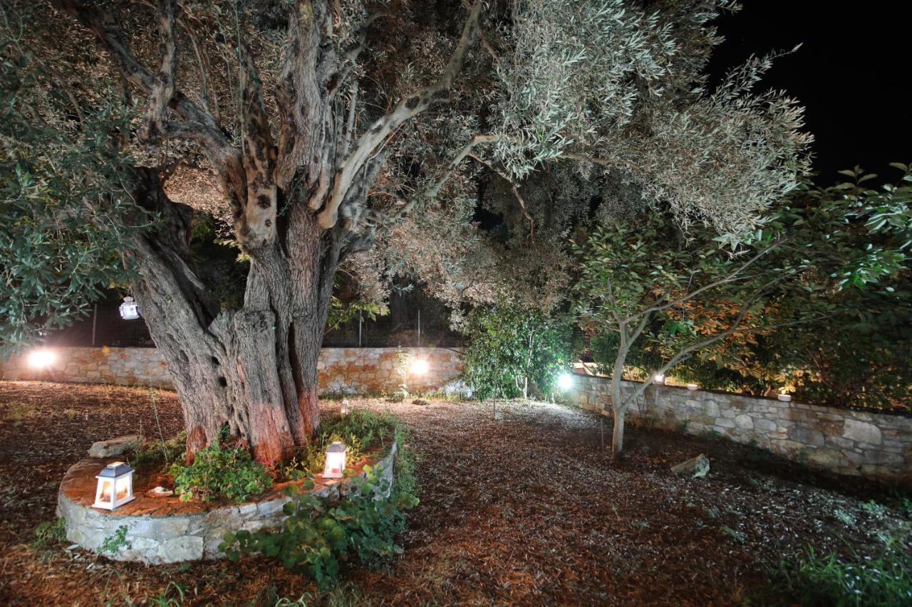 Koromilia Villa Νέο Κλήμα Εξωτερικό φωτογραφία